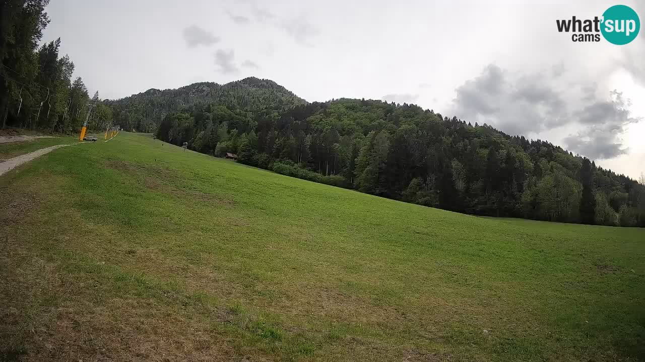 Kranjska Gora Station de ski | Brsnina