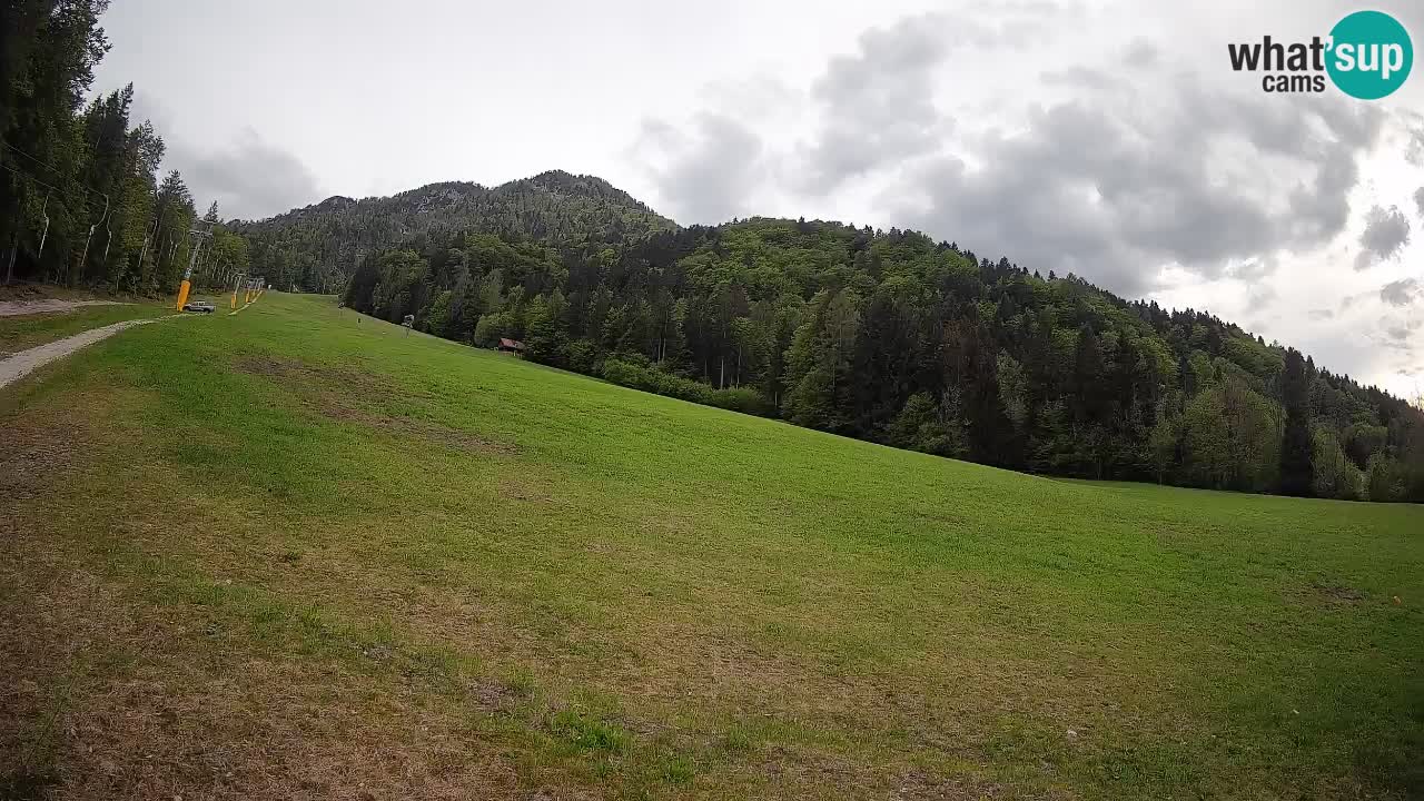 RTC Kranjska Gora | Brsnina