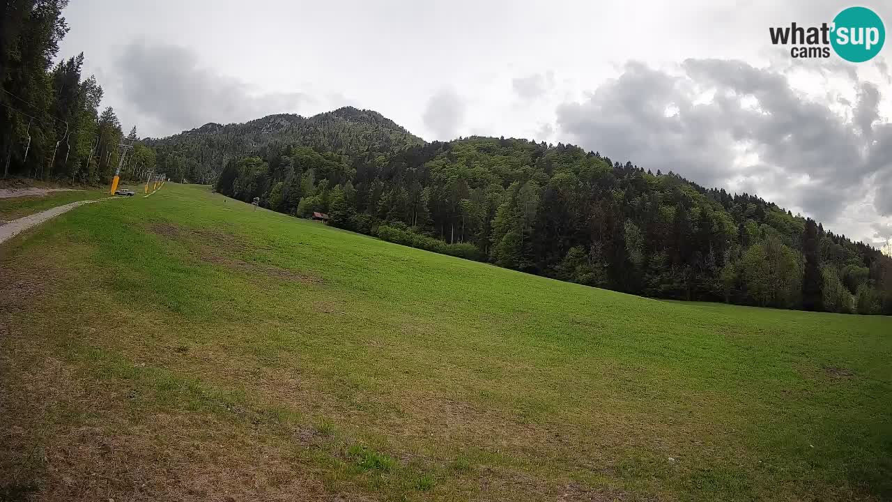 Ski Kranjska Gora | Brsnina