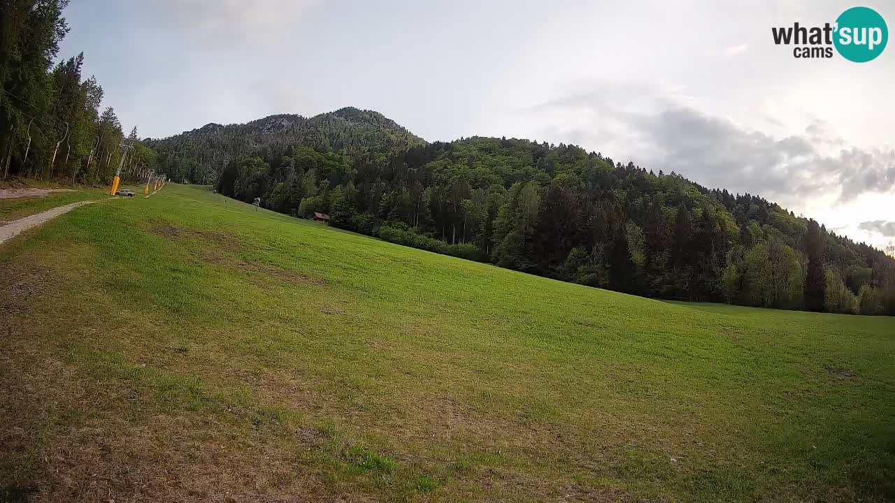 RTC Kranjska Gora | Brsnina