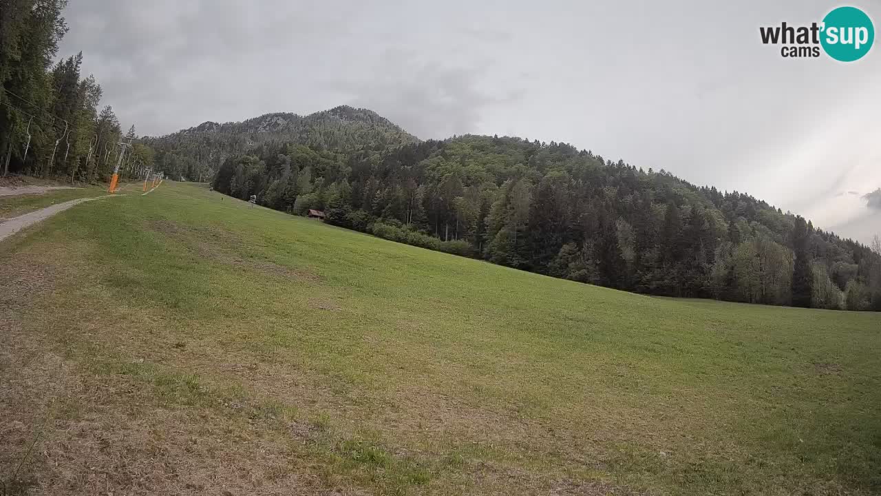 Ski Kranjska Gora | Brsnina