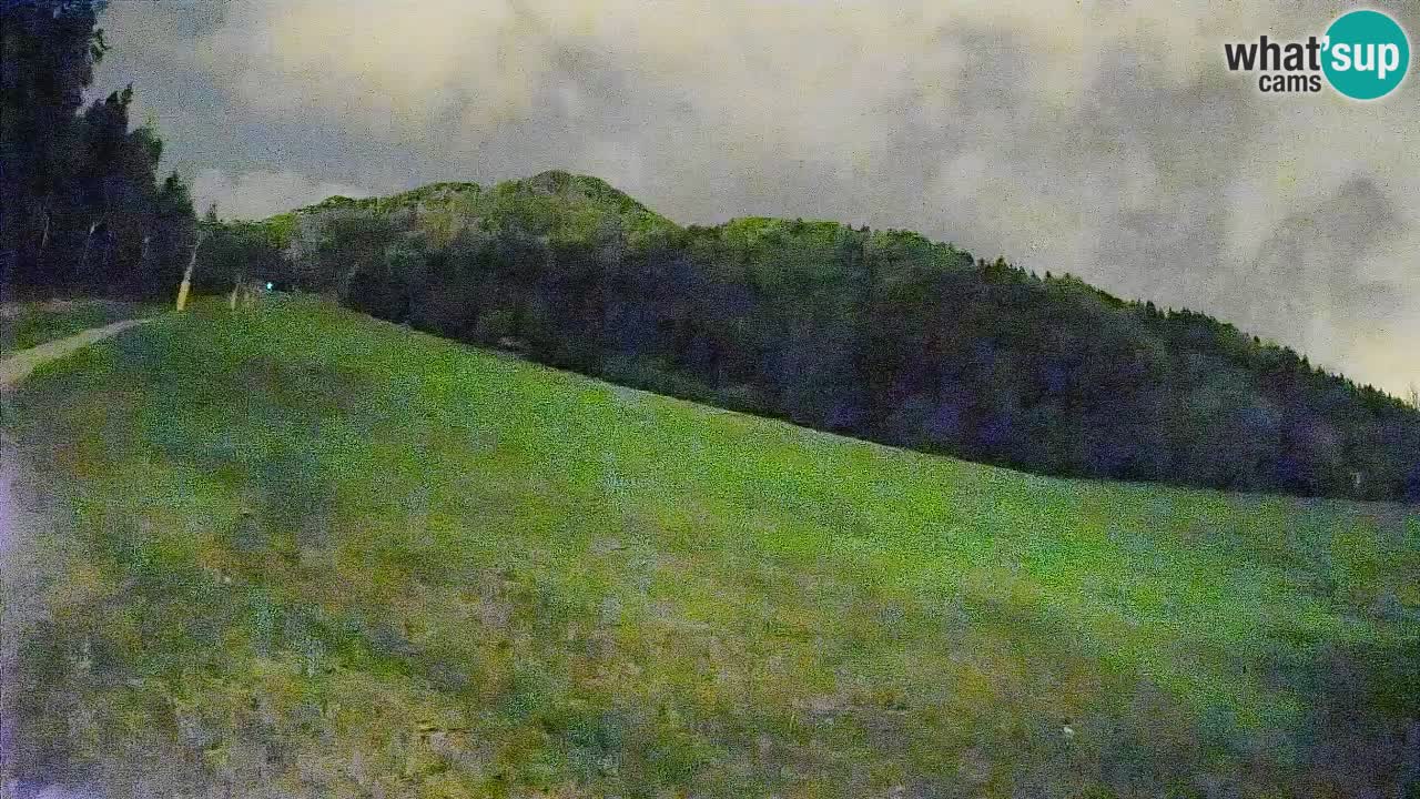 Ski Kranjska Gora | Brsnina