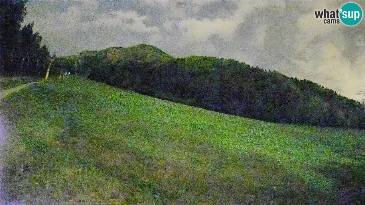 RTC Kranjska Gora | Brsnina