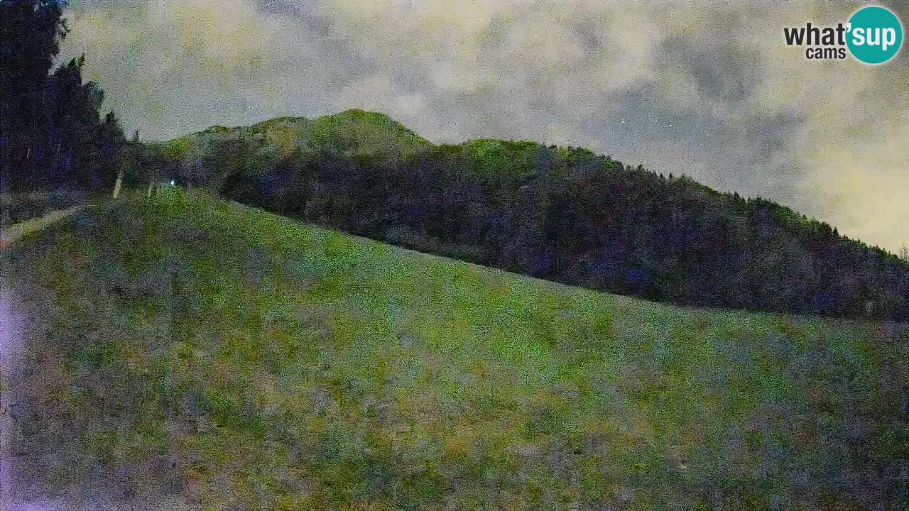 Esquí Kranjska Gora | Brsnina
