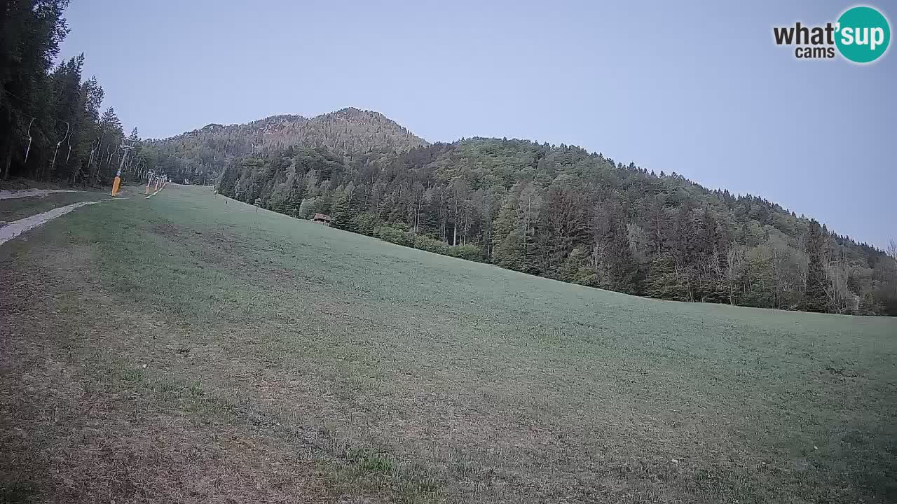 RTC Kranjska Gora | Brsnina