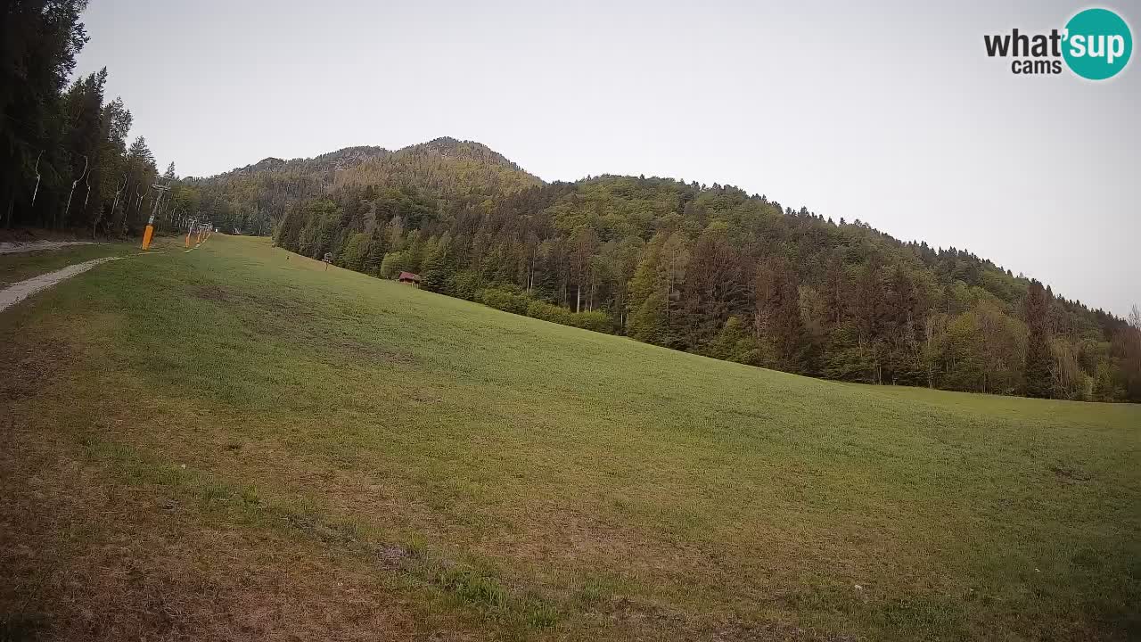 Comprensorio sciistico Kranjska Gora | Brsnina