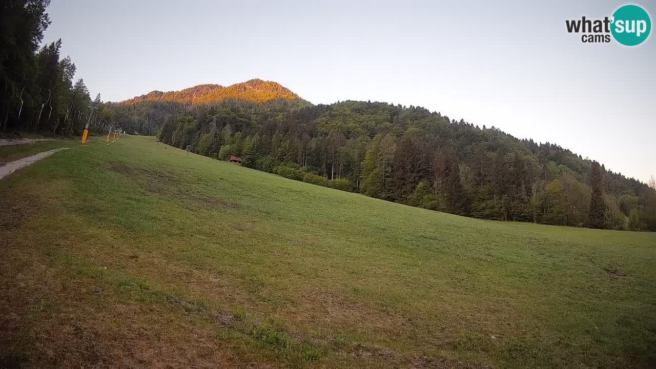 Esquí Kranjska Gora | Brsnina