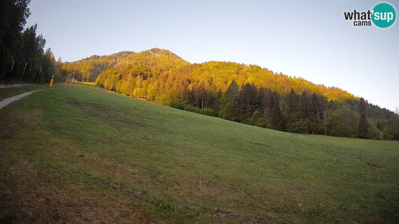 Ski Kranjska Gora | Brsnina