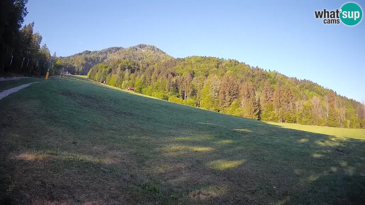 Esquí Kranjska Gora | Brsnina