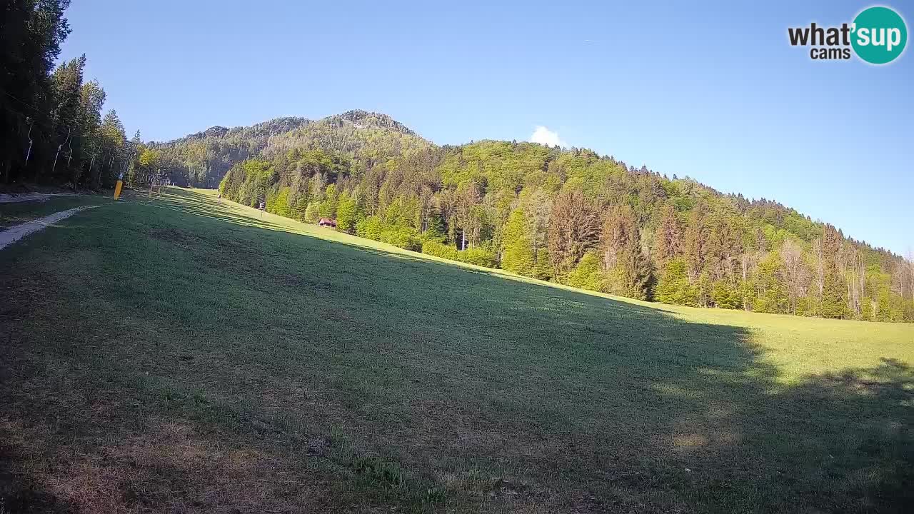 Comprensorio sciistico Kranjska Gora | Brsnina