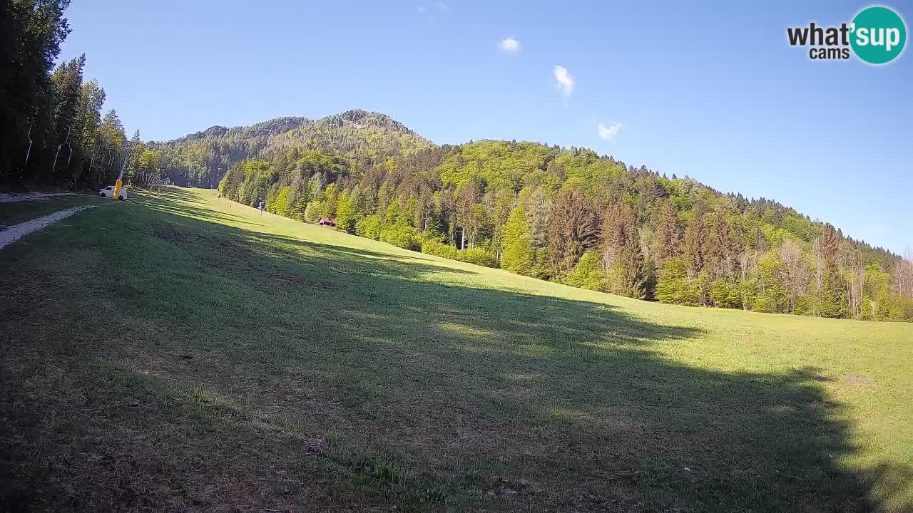 Comprensorio sciistico Kranjska Gora | Brsnina