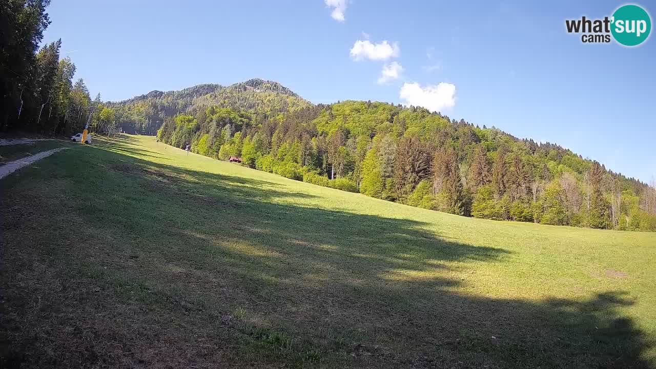 Kranjska Gora SKIJANJE | Brsnina