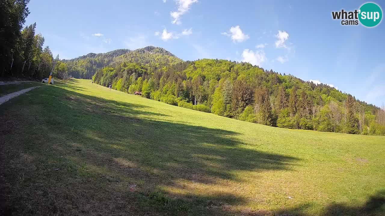 Kranjska Gora SKIJANJE | Brsnina