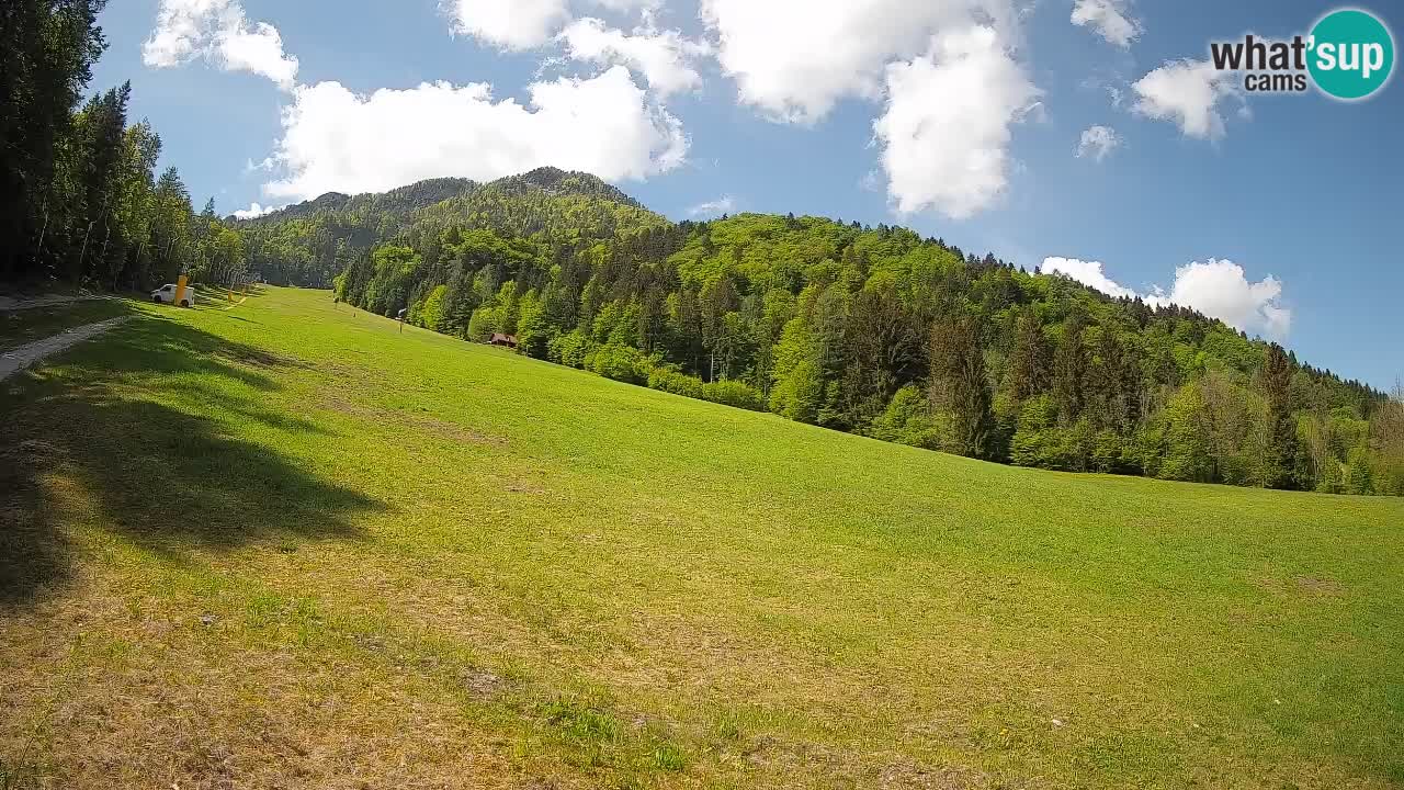 Comprensorio sciistico Kranjska Gora | Brsnina