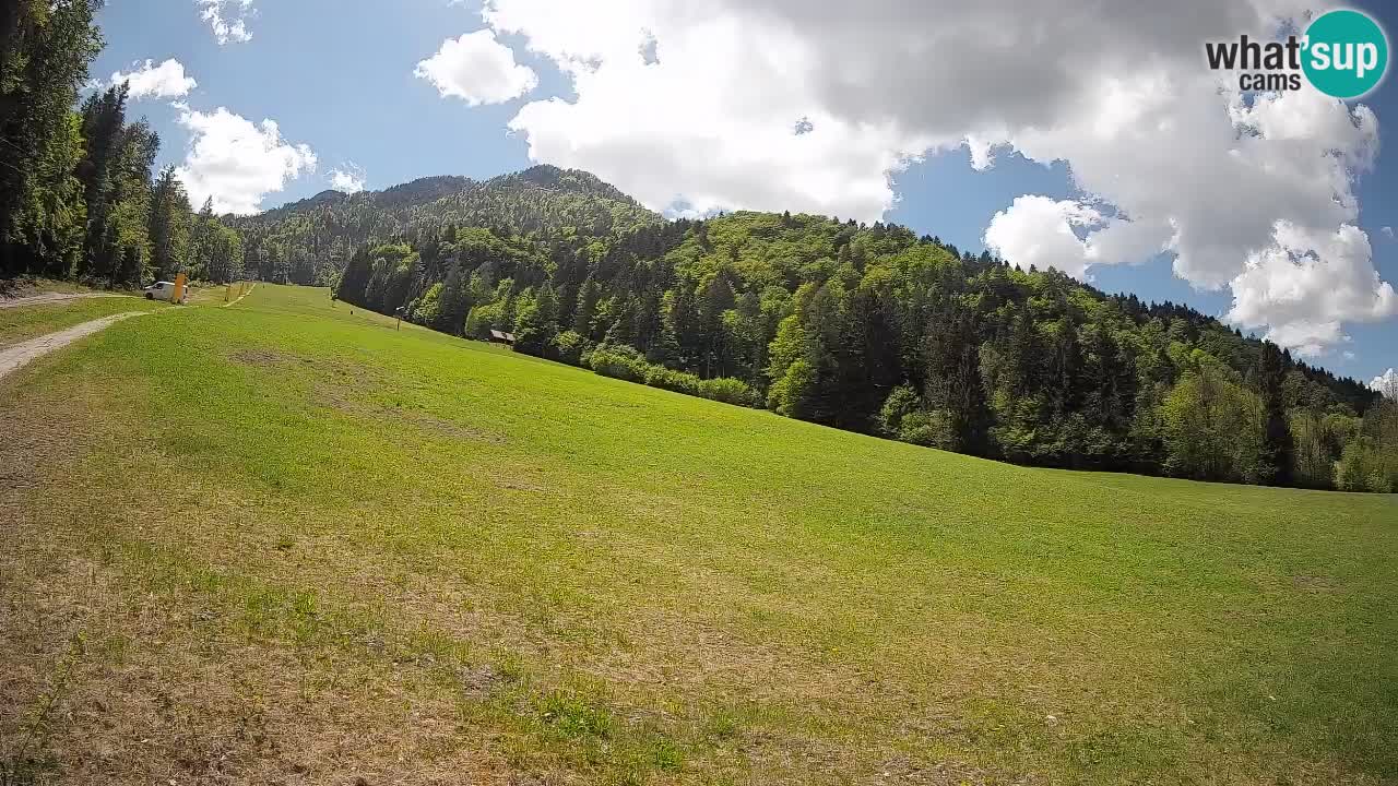 Ski Kranjska Gora | Brsnina