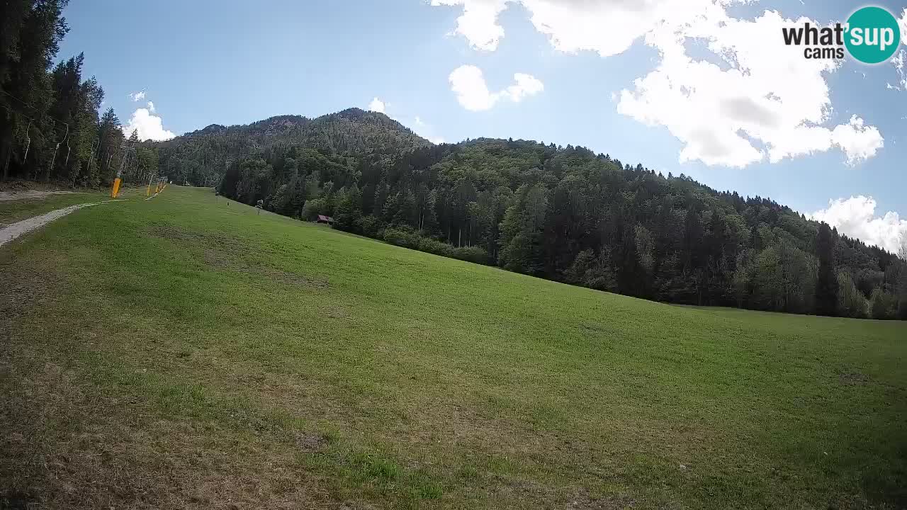 Comprensorio sciistico Kranjska Gora | Brsnina