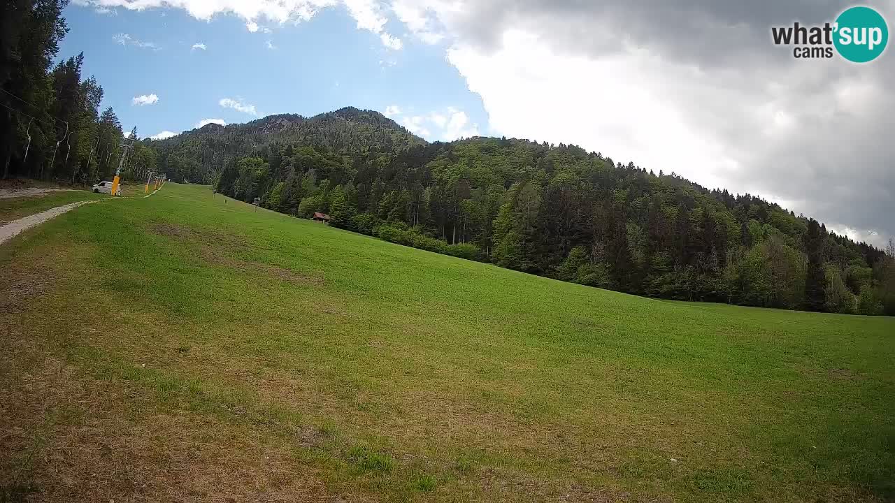 Ski Kranjska Gora | Brsnina