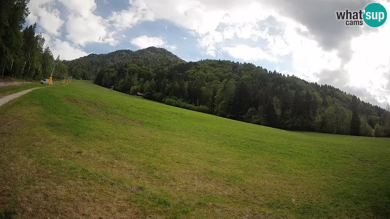 Ski Kranjska Gora | Brsnina