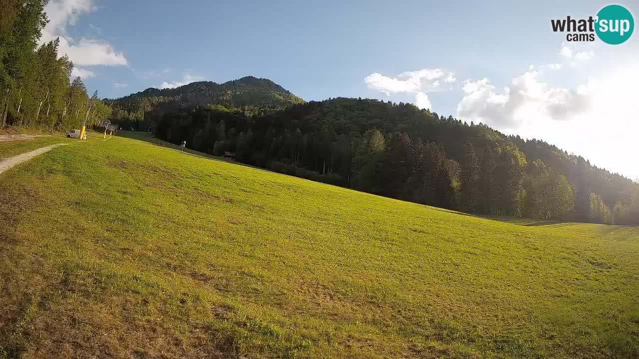 Comprensorio sciistico Kranjska Gora | Brsnina