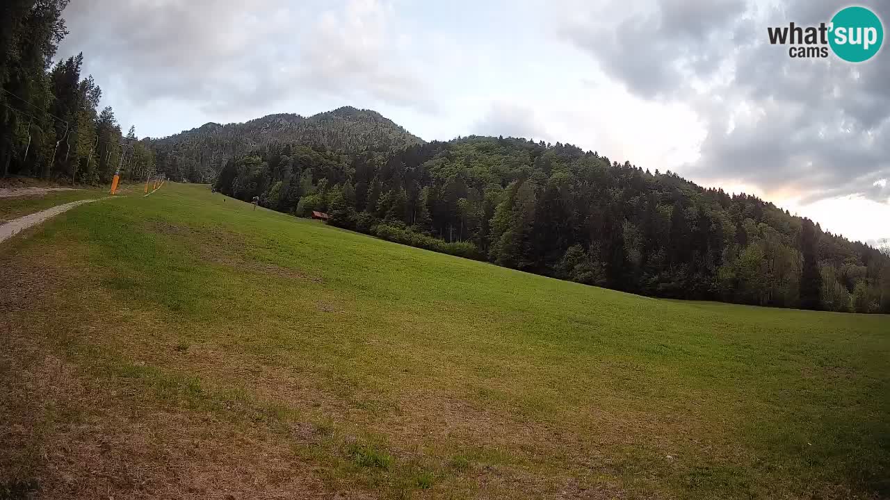 Comprensorio sciistico Kranjska Gora | Brsnina
