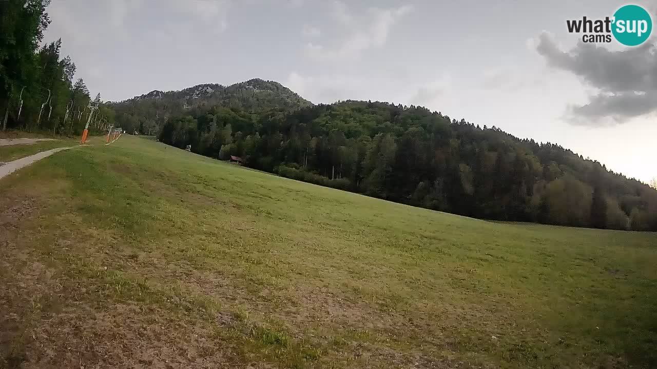 Comprensorio sciistico Kranjska Gora | Brsnina