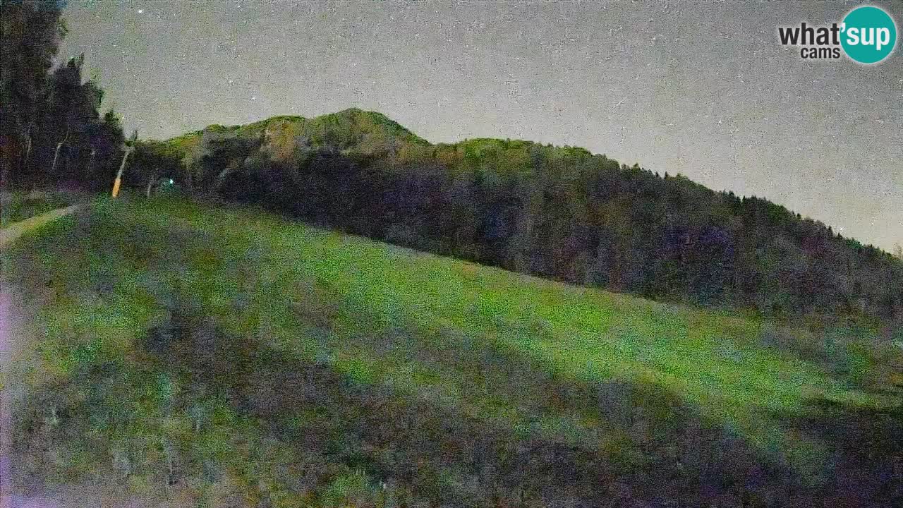 Esquí Kranjska Gora | Brsnina