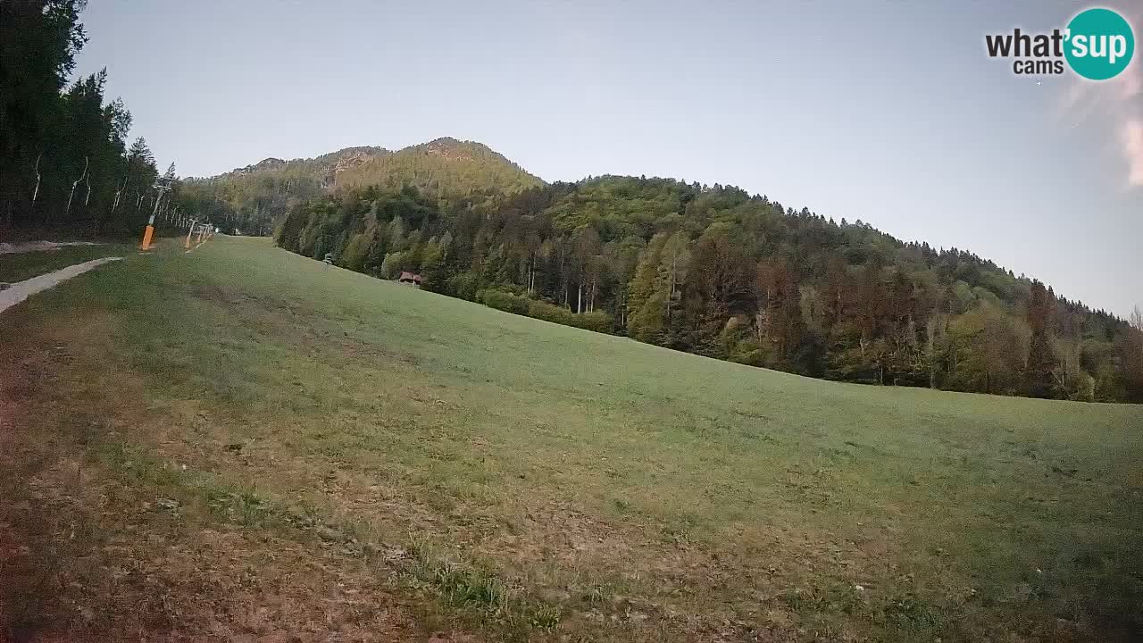 Esquí Kranjska Gora | Brsnina