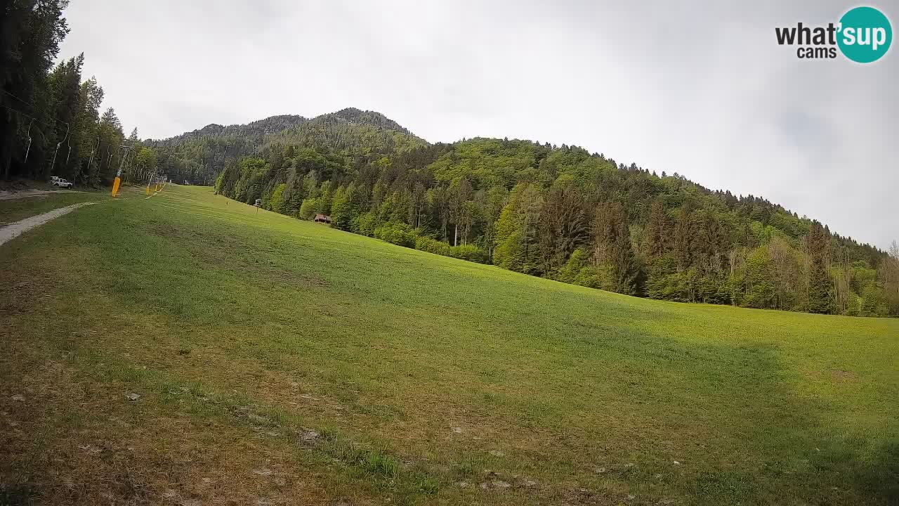 Kranjska Gora Station de ski | Brsnina