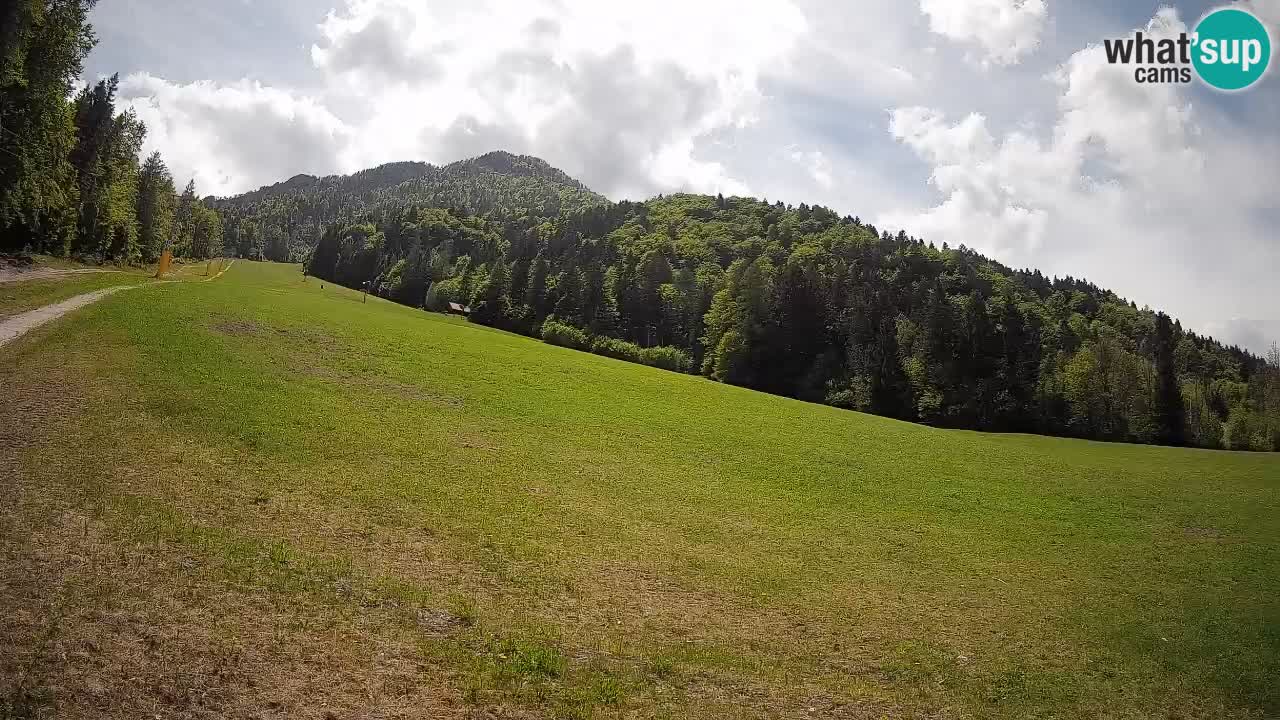 Kranjska Gora SKIJANJE | Brsnina