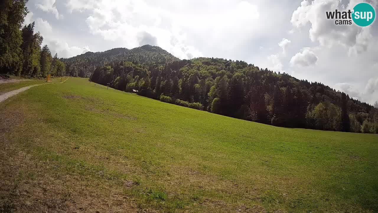 Esquí Kranjska Gora | Brsnina
