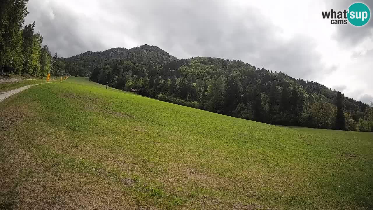 Esquí Kranjska Gora | Brsnina
