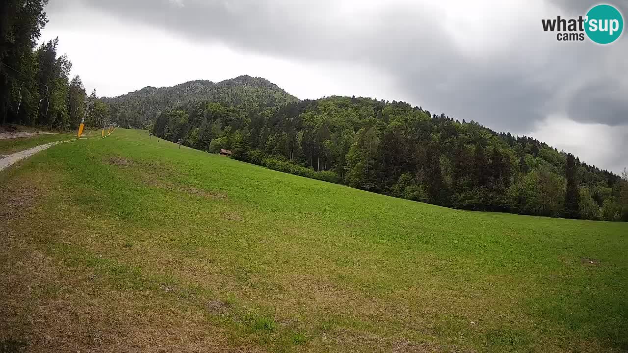 Kranjska Gora SKIJANJE | Brsnina