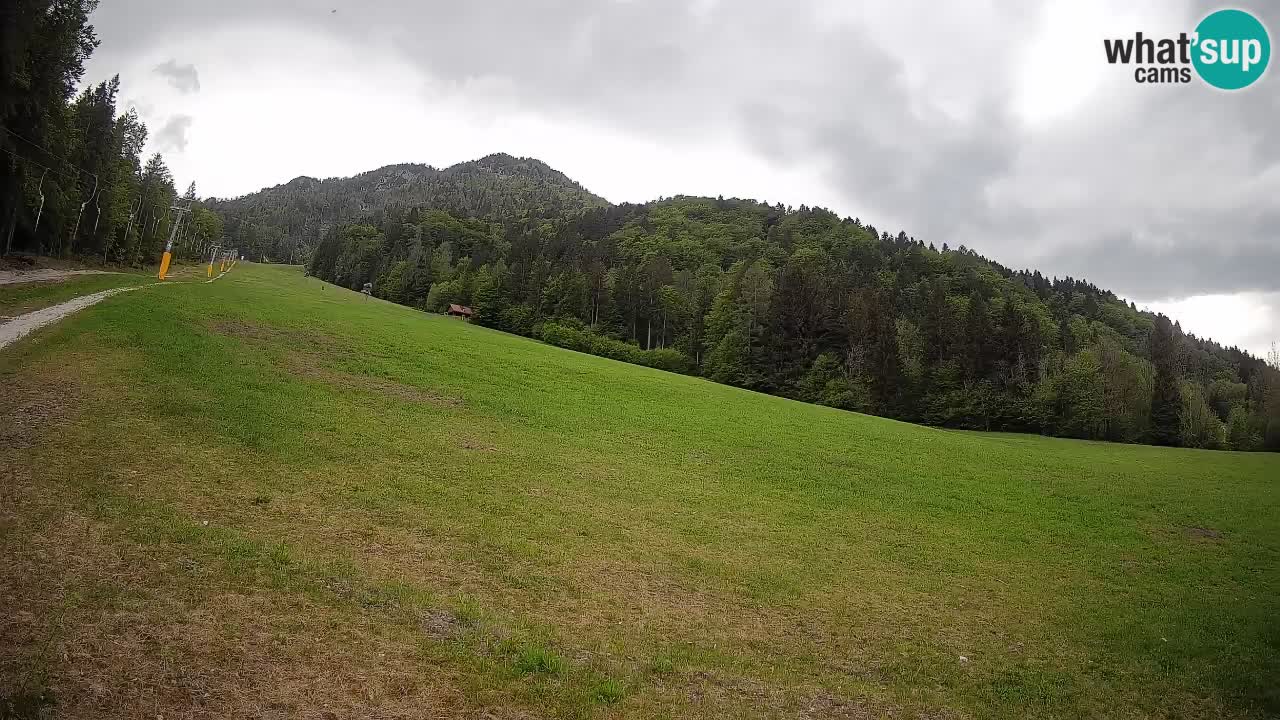 Comprensorio sciistico Kranjska Gora | Brsnina