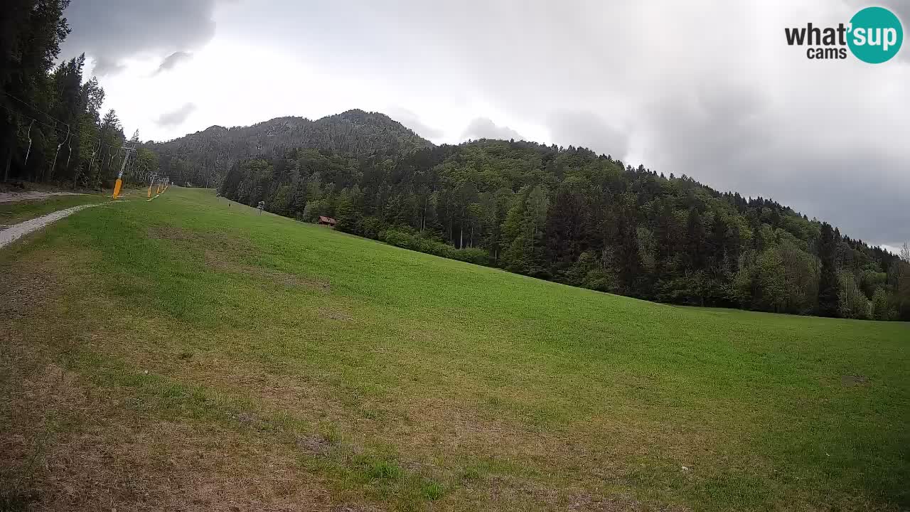 Comprensorio sciistico Kranjska Gora | Brsnina