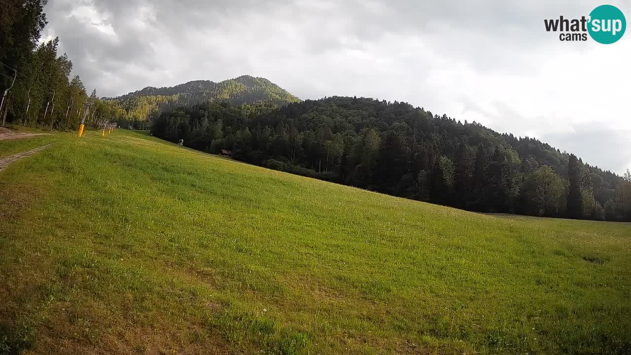 Kranjska Gora SKIJANJE | Brsnina