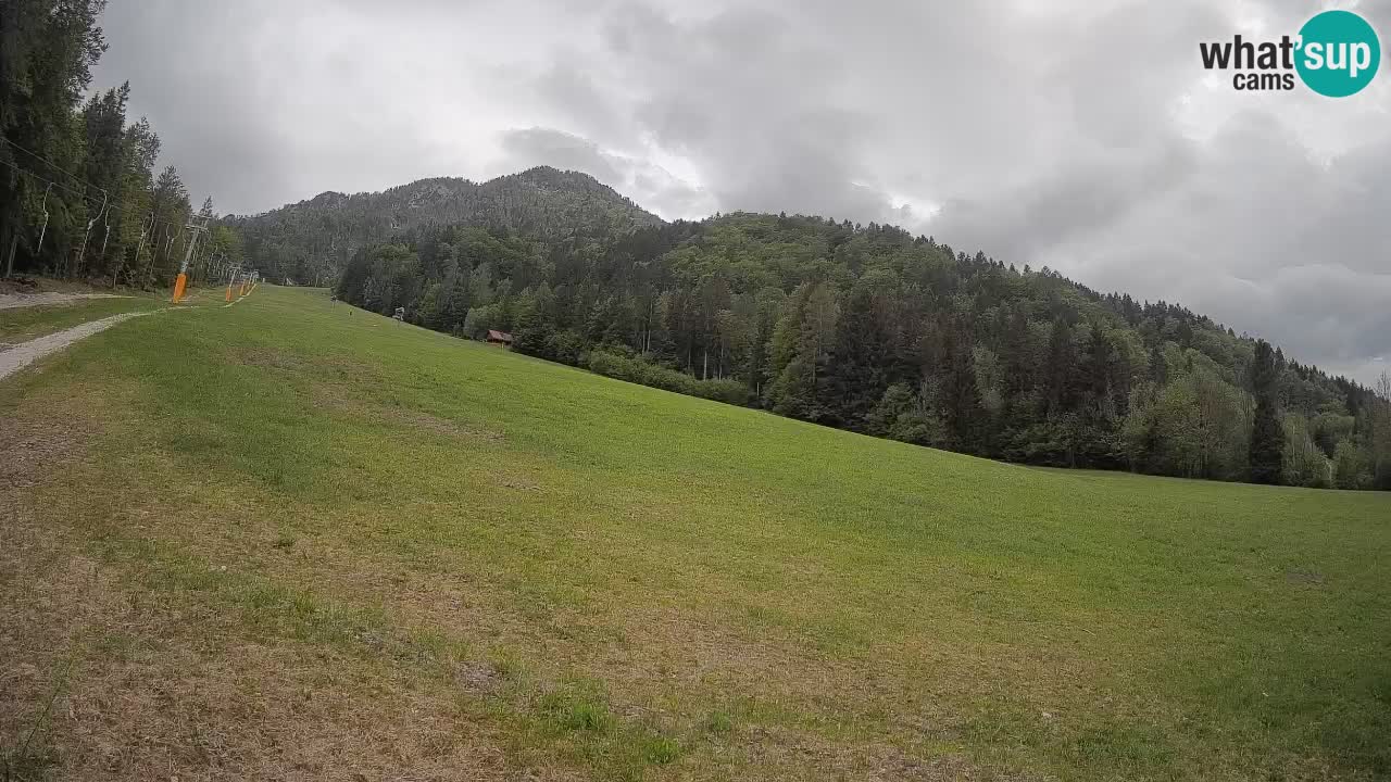 RTC Kranjska Gora | Brsnina