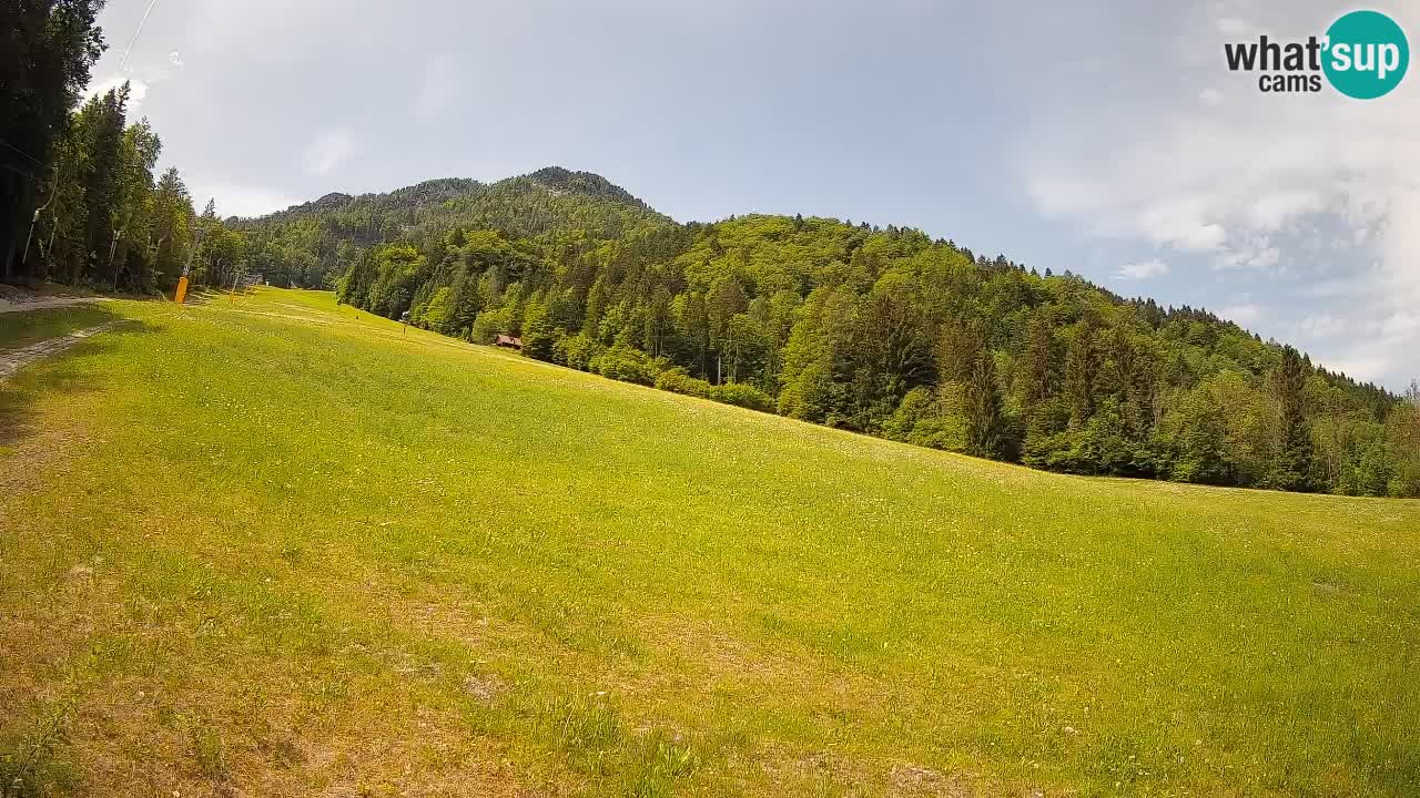 Kranjska Gora Station de ski | Brsnina