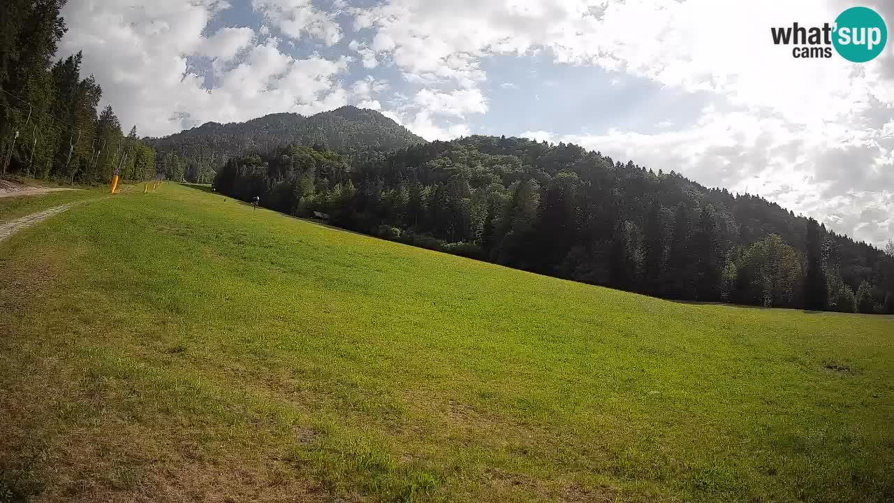 Comprensorio sciistico Kranjska Gora | Brsnina