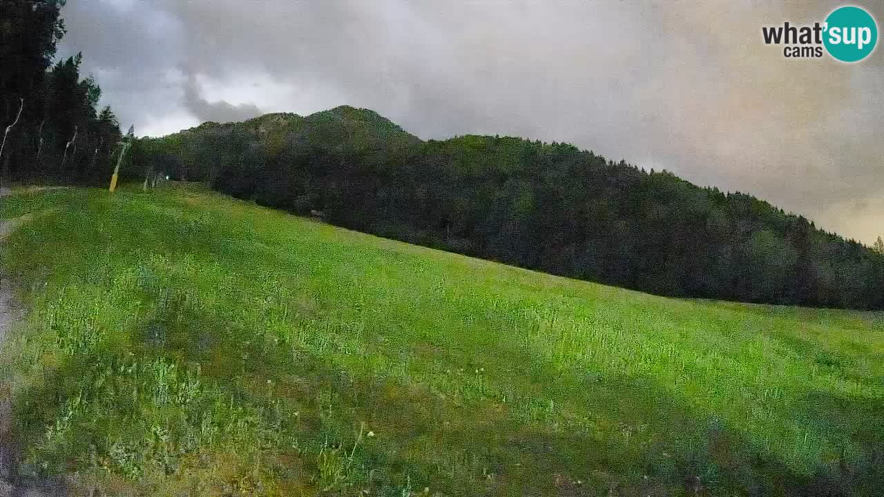 Comprensorio sciistico Kranjska Gora | Brsnina