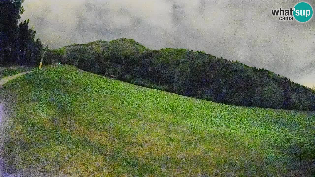 Kranjska Gora SKIJANJE | Brsnina