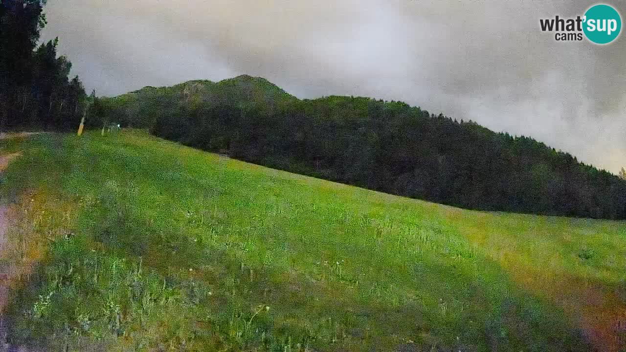 Kranjska Gora SKIJANJE | Brsnina