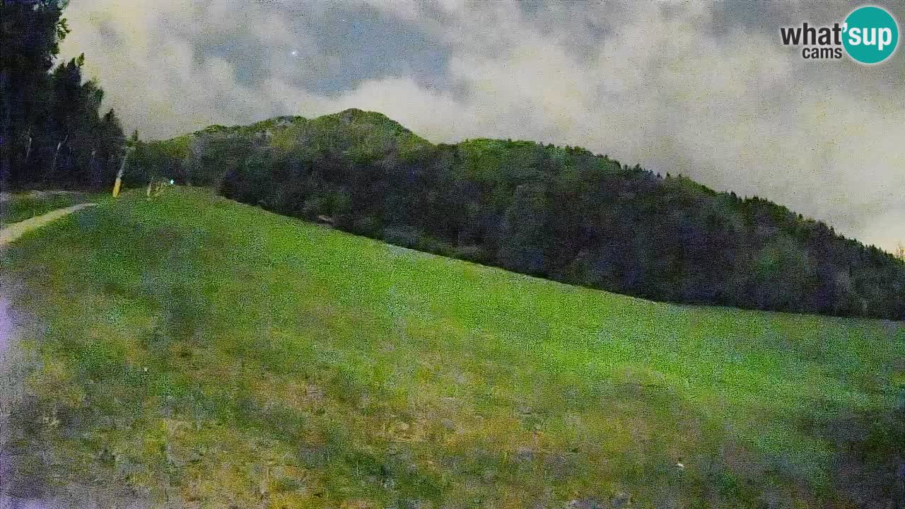 Comprensorio sciistico Kranjska Gora | Brsnina