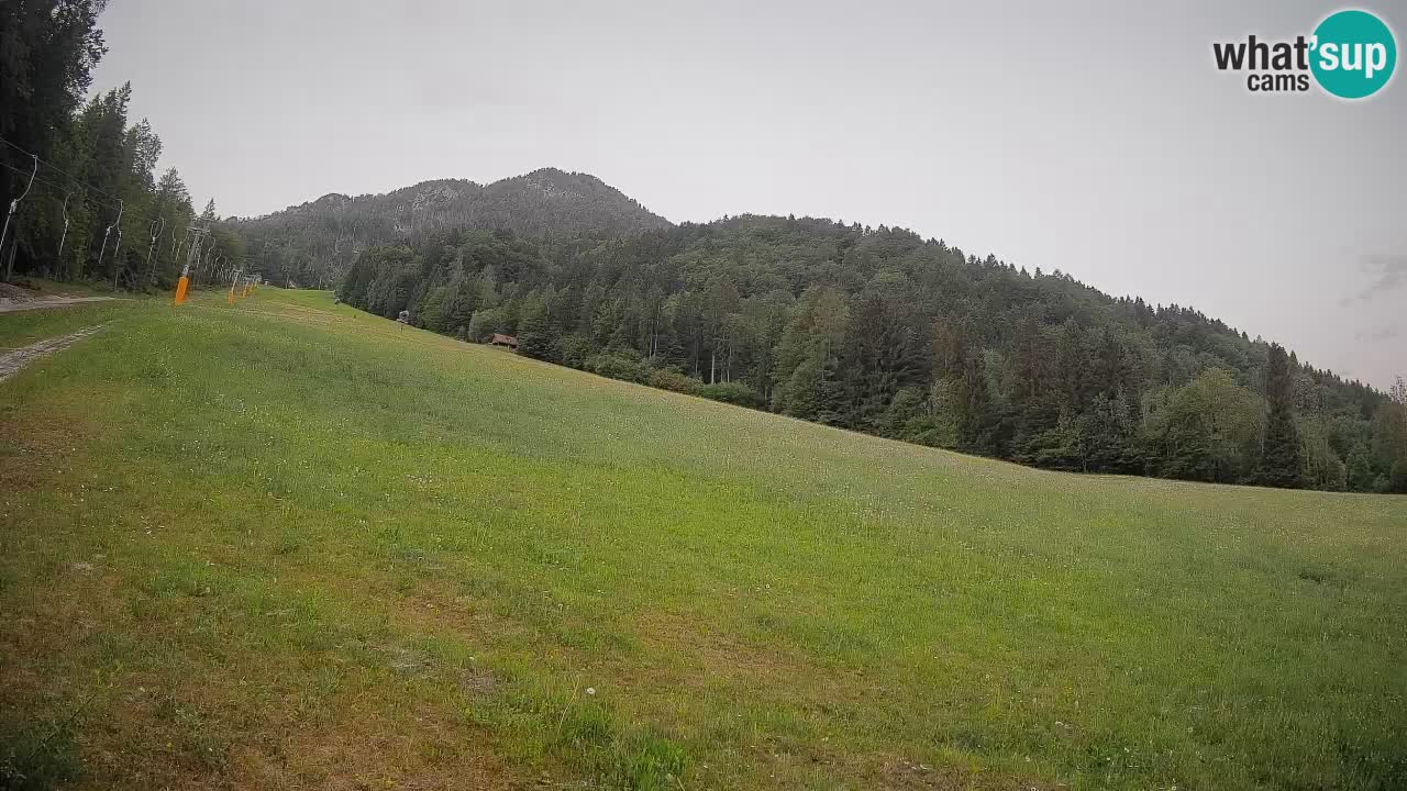RTC Skigebiet Kranjska Gora | Brsnina