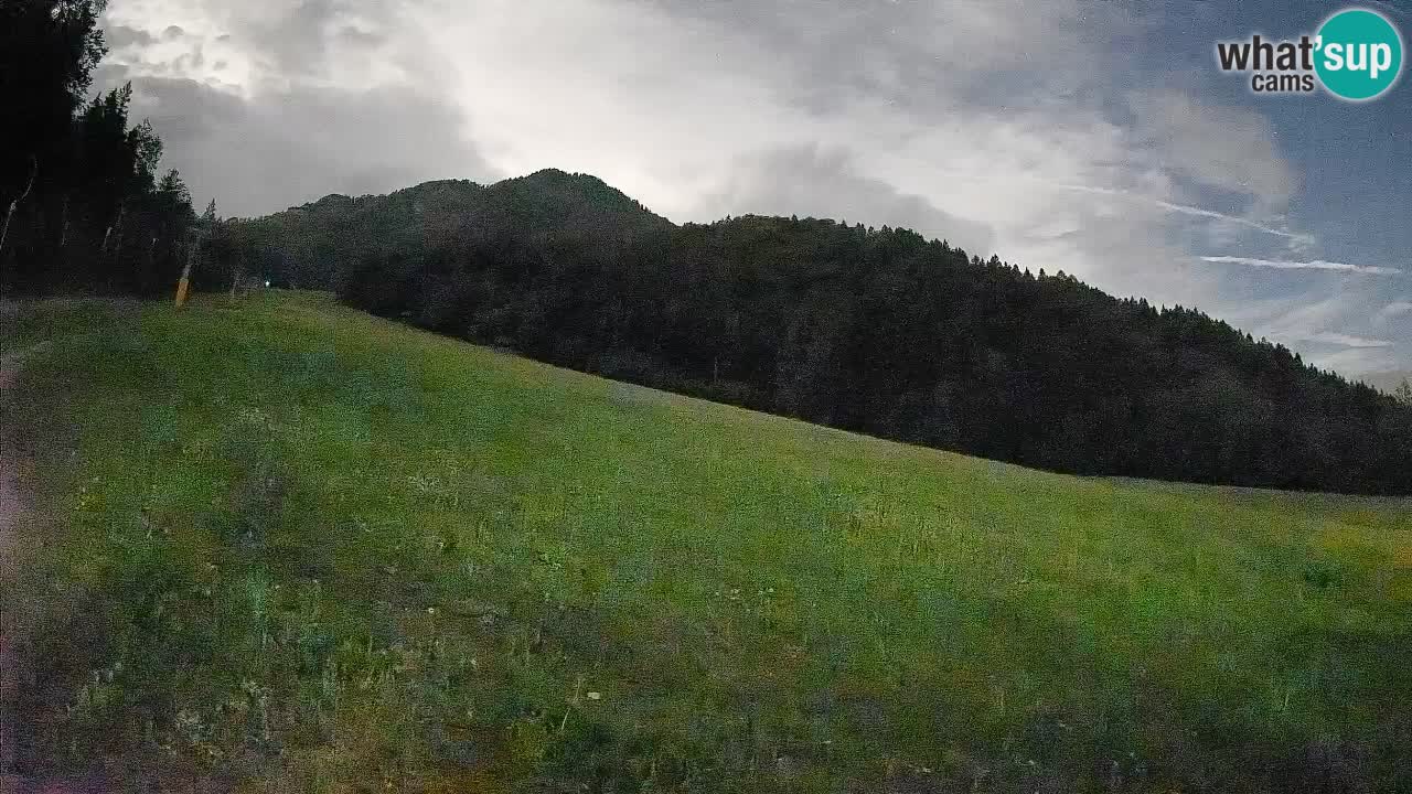 Kranjska Gora SKIJANJE | Brsnina