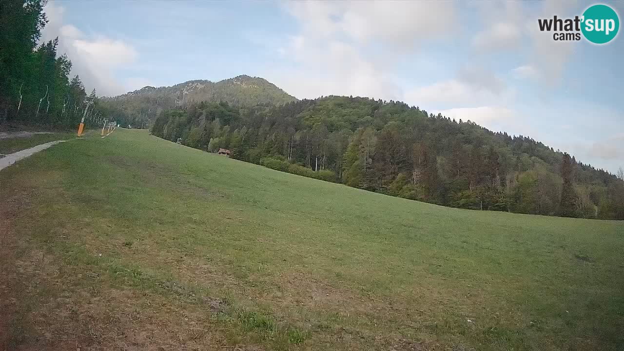 Ski Kranjska Gora | Brsnina