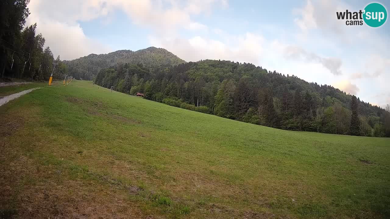Ski Kranjska Gora | Brsnina