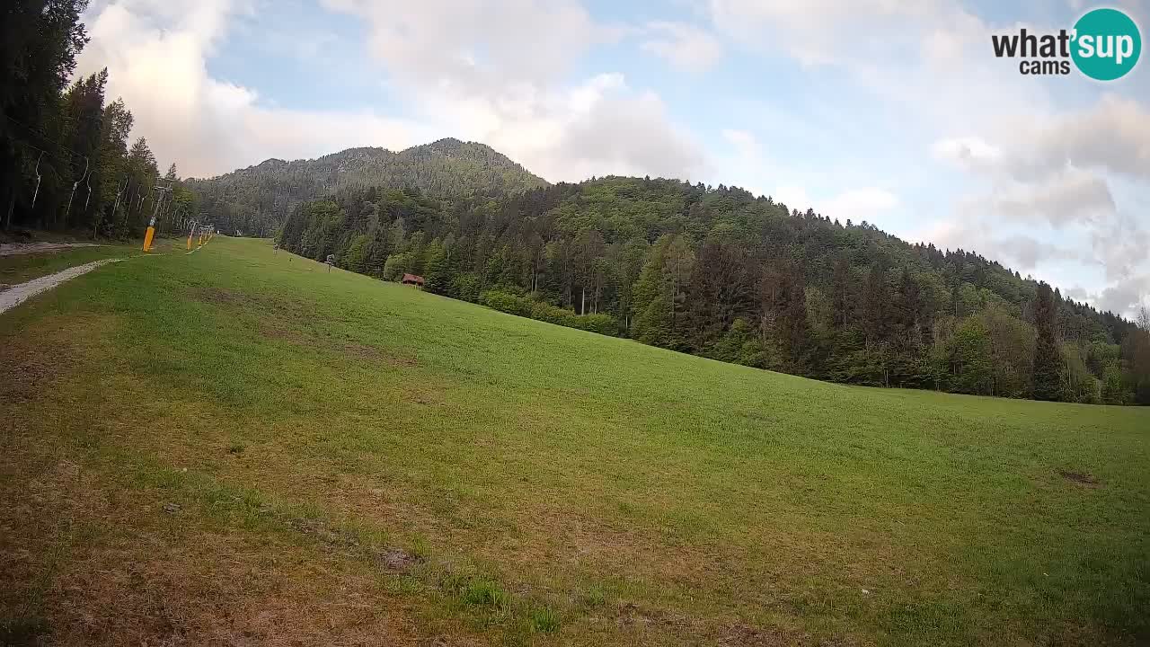 RTC Skigebiet Kranjska Gora | Brsnina
