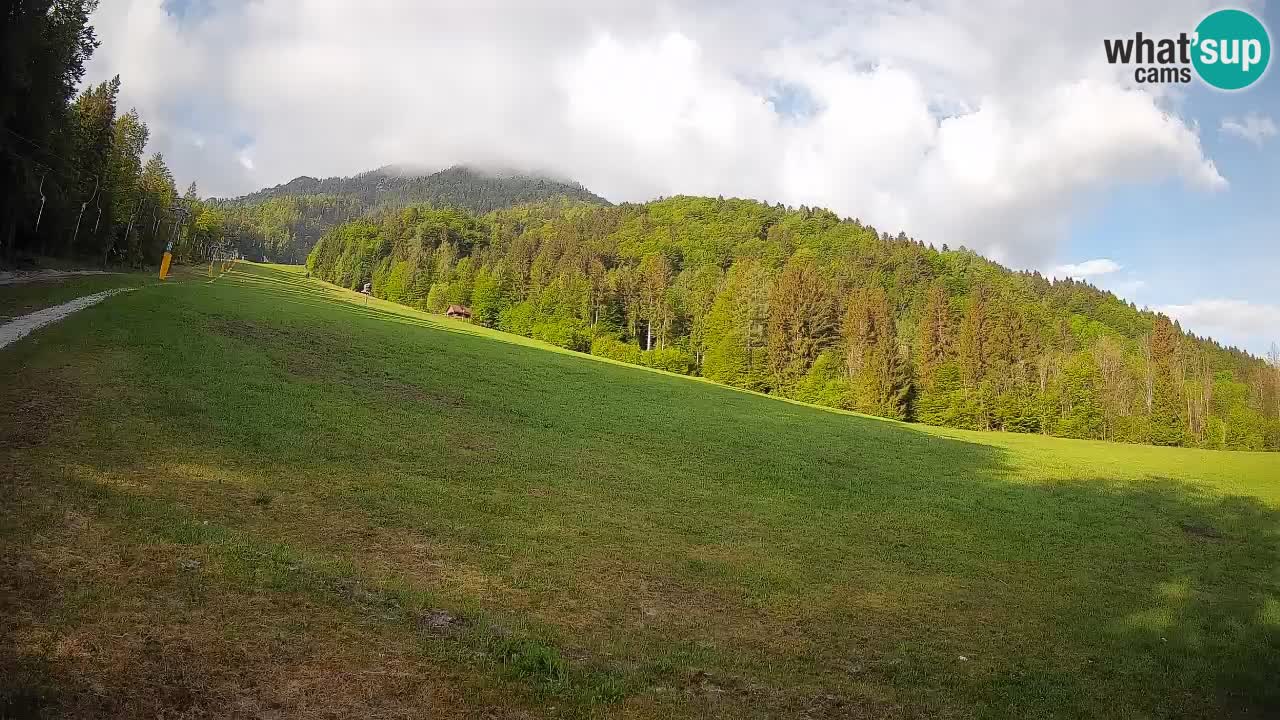Ski Kranjska Gora | Brsnina