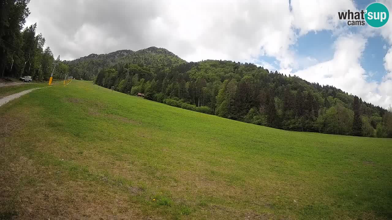Ski Kranjska Gora | Brsnina