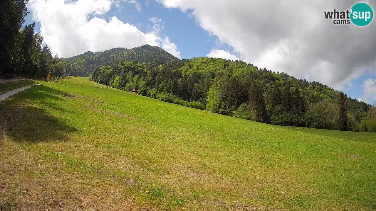 Kranjska Gora Station de ski | Brsnina
